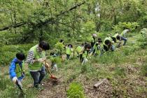 현대엔지니어링 임직원, 가족과 생태숲 가꾸기 봉사