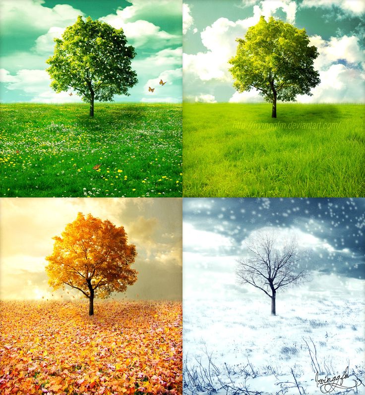 0b338c0bbad2f45914316150b5747fb4--four-seasons-art-the-four-seasons-vivaldi.jpg