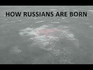 how-russians-are-born.gif