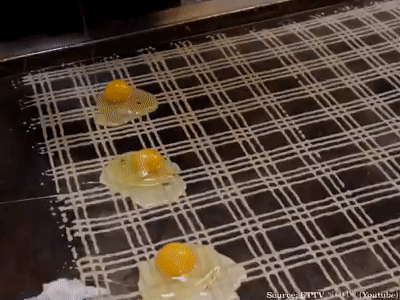 대만에서 유명한 치킨 계란 오믈렛 - 꾸르