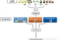 농진청, 분자표지 기술 공유로 채소 디지털 육종 앞당긴다