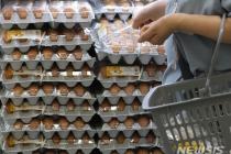 1년 새 57% 치솟은 달걀값…공정위 "담합 말라" 경고장