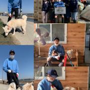 씨엔블루 이정신, 유기 동물 기부 캠페인 동참…2톤 사료 기부[공식]