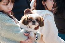 동물병원 진료비 게시 강화…반려동물 전 업종 CCTV 설치의무[새해 달라지는 것]