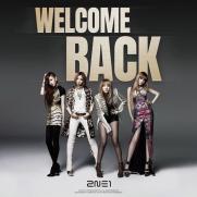 2NE1, 데뷔 15주년 기념 베스트 LP 출시…오늘 예판 시작