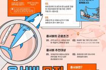해수부, 원양어선 불법조업 감시·감독 '옵서버' 8명 신규 모집