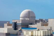 박일준 산업차관, UAE 원자력공사 사장과 '원전 협력' 논의