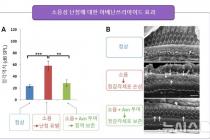 농진청, 韓귀리 난청 치료제 사용 가능성 확인…美·英 등 특허등록