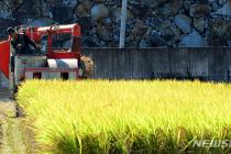 쌀값 20만원 회복했지만…생산비 증가에 농가 소득은 '뒷걸음질'