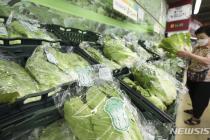 추석 앞두고 채소류 가격 껑충…농식품 수급 관리·원가부담 줄인다