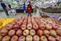 金사과 10㎏ 도매가격 9만원대…평년보다 두 배 넘게 비싸