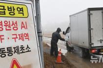 설 연휴 앞두고 조류독감 비상…계란·닭고기 수급 차질 우려는?