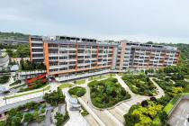 쌍용건설, 싱가포르 최대 '우드랜드 종합병원' 6년 만에 준공