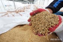 쌀값 하락에 벼농사 순이익 36.8%↓…6년 만에 최대 감소