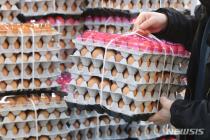 스페인산 계란 15일 공급…설 대비 비축계란 1500만개 방출