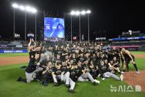 MLB 양키스, 3-1로 캔자스시티 잡고 2년 만에 ALCS 진출