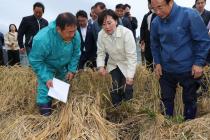 송미령 "벼멸구 대규모 발생…벼 전량매입해 피해 최소화"