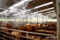 가축 분뇨 온실가스·악취 줄인다…사료 조단백질 허용치 낮춰