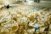 정부, 쌀 5만t 매입 민간 배정 완료…민당정 후속조치 속도