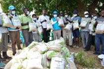 농진청, 아프리카 7개국서 벼 우량종자 생산…식량난 해결