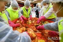 "배추값 포기당 3000원 아래로"…가을배추 출하에 김장 부담 덜었다