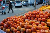 정부 물가안정 대책 통했나…사과·배 소매가격 하락 전환