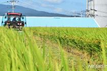 국산쌀 해외원조 최대 957억 손해…"수입쌀로 바꿔야"
