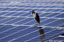 늘어난 태양광에 블랙아웃 올라…전력수급 대책 '전국' 확대