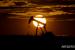 OPEC+ 하루 200만 배럴 감산 합의…"WTI 배럴당 87$로 뛰어"