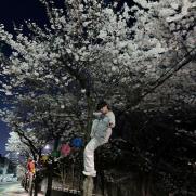 S대 출신 뇌섹남이라더니…벚나무 올라탄 연예인 '질타'