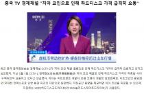 중국 TV 경제채널 "치아 코인으로 인해 하드디스크 가격 급격히 요동"