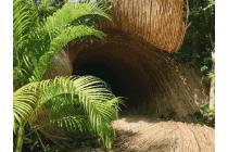 멕시코 툴룸에 있는 정글 터널