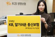KB생명보험, '무배당 KB, 알기쉬운 종신보험' 출시