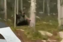 캠핑하는 사람 가방 훔쳐가는 곰
