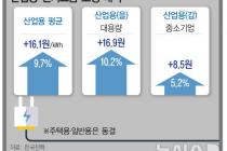 또 산업용 전기료만 인상…정부 "여력 있는 수출 대기업 고통 분담해야"