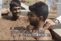 인도 코로나 대처법.