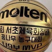 이병헌♥이민정 아들 근황 "농구대회 MVP"