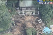 일본 홍수로 천년된 나무 사망햇네요